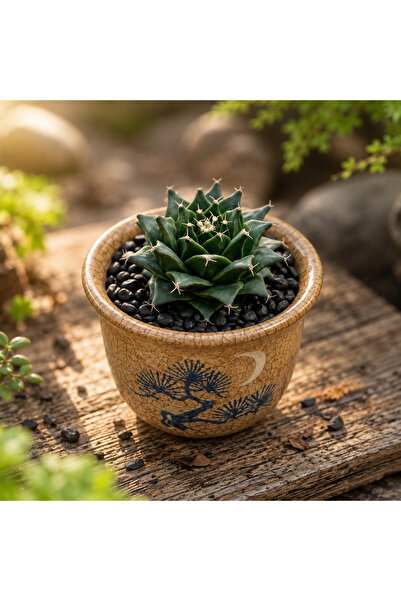 ATLANTE CACTUS Obregonia Denegrii - Meksika Kökenli Nadir Kaktüs