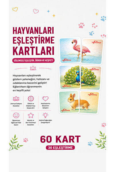 Yogatoon Kids World بطاقات مطابقة ذات طابع حيواني للأطفال - مجموعة داعمة للتط...