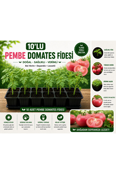 Mera Çiçekçilik Pembe Domates Fidesi 10 Adet