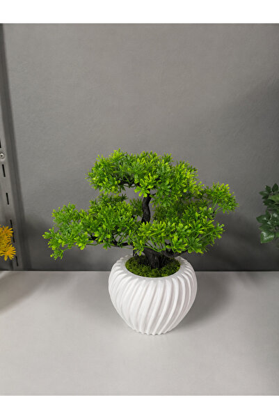 Sevils Dekorasyon Mini bonsai