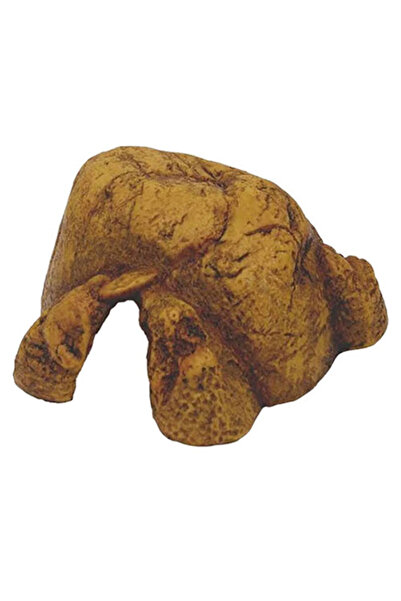 Exo Terra Reptil Cave Sürüngen Mağarası Small 17x15,5x7,5 Cm