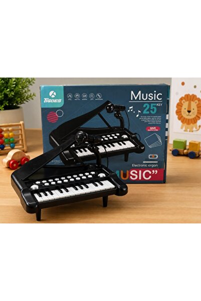 berattoys ayaklı piyano 25 tuşlu pilli mikrofonlu piyano oyuncak piyano pilli...