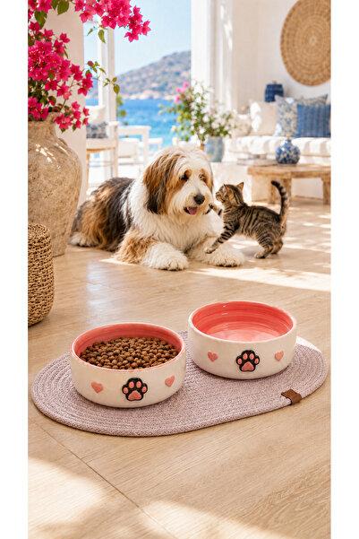 Pawicci 2'li Seramik Mama Kabı – Kedi ve Köpekler için Paspaslı Kaydırmaz Mam...