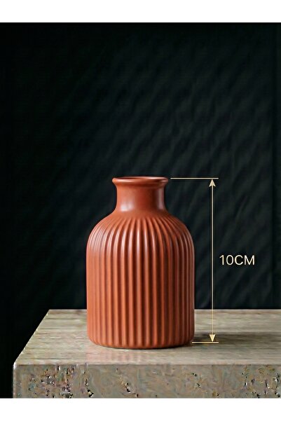 CANSEB Elegance Premium - Brick Color - 10cm Tall - Striped Pampas Vase - Han...