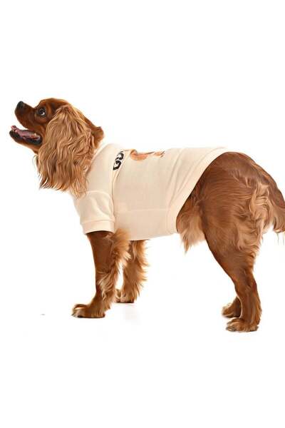 Petza Küçük ve Orta Irk Köpek Sweater - Lammi