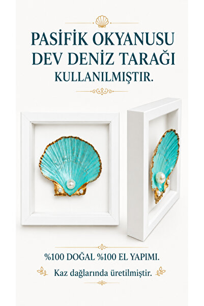 miceda art studio PASİFİK OKYANUSU DENİZ TARAĞI EL YAPIMI TABLO - DENİZ KABUĞ...
