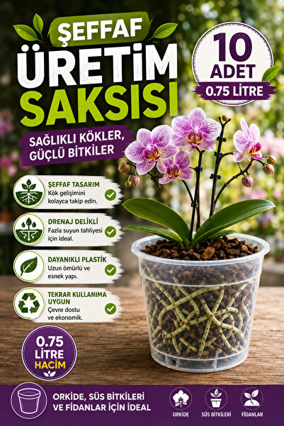 NEXVORİA 10 ADET ORKİDE ÜRETİM SAKSISI -ŞEFFAF (12 POT)