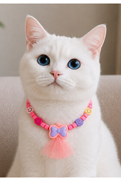 Pawellia.co Stylish Design Cat Collar Cat Necklace Small Breed Dog Collar Dog...