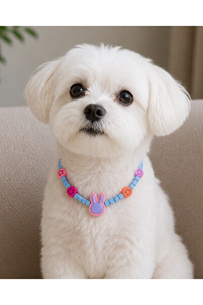 Pawellia.co Stylish Design Cat Collar Cat Necklace Small Breed Dog Collar Dog...