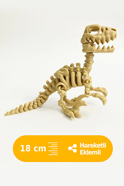 Artimon 3D Store Hareketli Raptor 3D İskelet Dinozor | Oyuncak Dinozor | Dino...