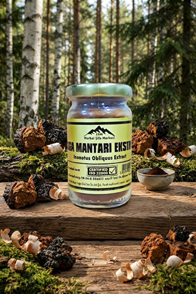 Nurbal Şifa Merkezi Chaga Mantar Ekstrak 40 gr
