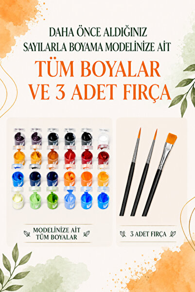 Palmiye Hobi Sanat Modele Özel Tüm Renkleri İçeren Boya Seti Sayılarla Boyama