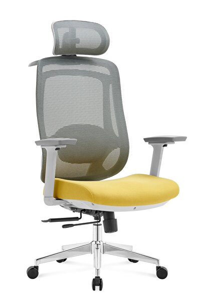 REİNART Oslo Gri Fileli Ergonomik Yönetici Koltuğu – 3D Kolçak, 2D Bel Desteğ...