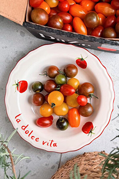 Rakle X Bengi Kurtcebe Pomodoro Stoneware 4-Piece Dinner Plate Set 23 cm