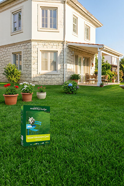 Genta Prestige Güzel Görünüm Çimi 1 Kg (40 M2 Alan Içindir) Yeni Ürün