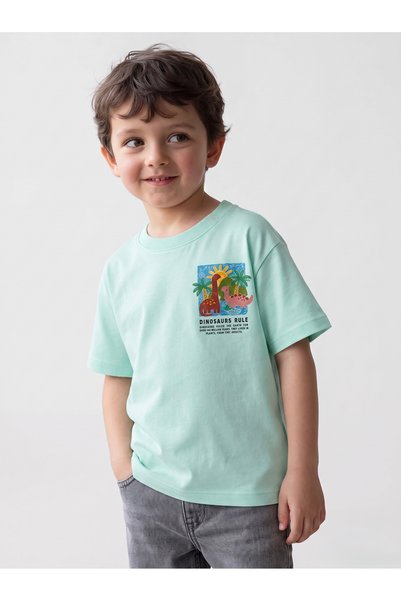 Zuvi Baby Boy's Dinosaur Printed T-Shirt