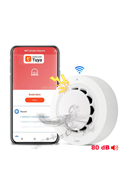 Choice WiFi Tuya WiFi Smoke Alarm Fire Protection Smoke Detector Smoke House ...