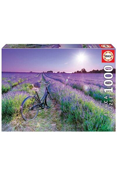 EDUCA 1000 Bıcıcleta Campo Lavanda F