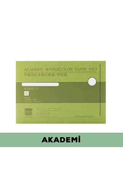 BAOHONG Watercolor Academy Block Notebook (Cold Press) 26X26Cm, 300Gr (20 She...