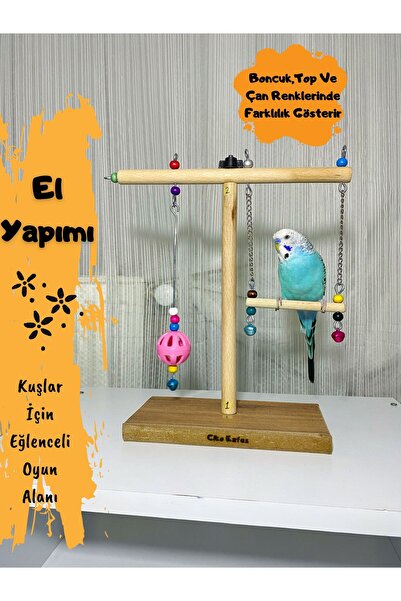 Ciko Kafes Fun Playground for Loving Parrots of Paradise for Loving Budgies