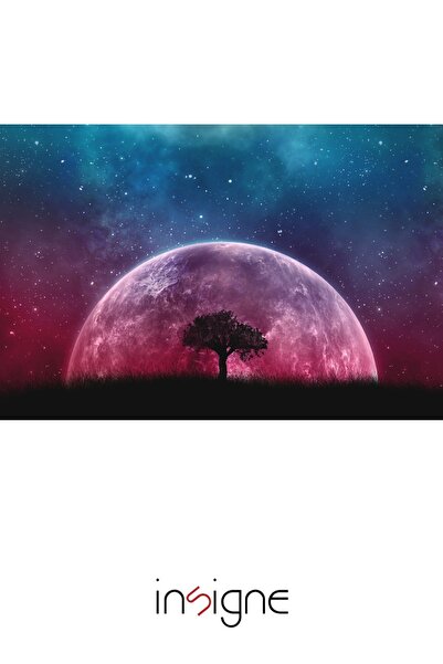 Cosmic Lunar Solitude — 3D Kabartmalı Premium Duvar Sanatı