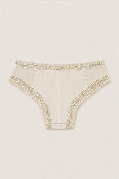 HNX Women's Lace and Tulle Detailed Micro Fabric Panties Hipster Slip |   Flexible Soft Daily Underwear