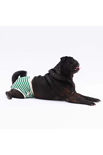Pawstar Yeşil Çizgili Kedi-köpek Çamaşırı Regl Kilodu Kedi-Köpek Kıyafeti Gre...
