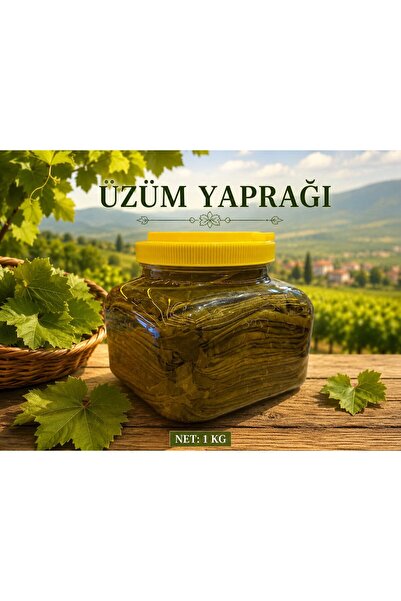 ÜZÜM YAPRAĞI TOKAT ERBA 1KG