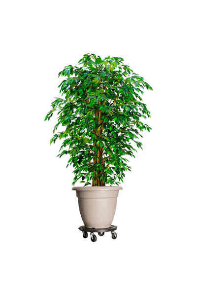 vidaxl Carucior pentru plante cu roti, diametru 40 cm, negru, 275 kg