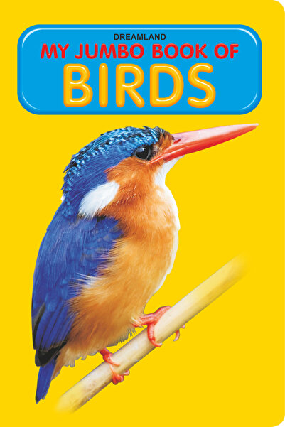 Dreamland Publications كتابي الجامبو - الطيور