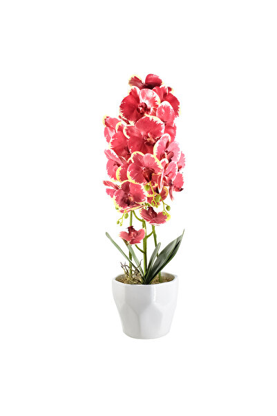 Naimeed Company Orhidee decorativă în ghiveci ceramic, 70 cm, Naimeed D4843, ...