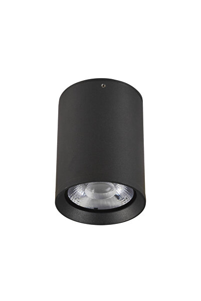 Italux Lampă de tavan modernă de exterior Cervia 3K, din aluminiu negru sabla...