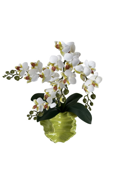 MirageBotanics مزهرية سيراميك مكعبة الشكل بتصميم نورديك كريمي اللون أخضر بوهي...