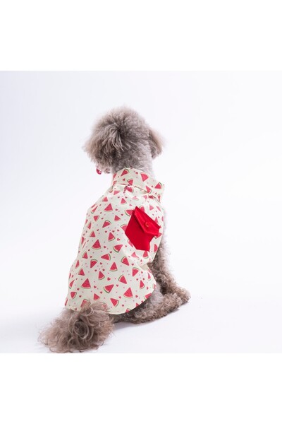 Pawstar Berry Crush Fruit Pattern Cat Dog Shirt-Cat Dog Outfit-Cat Shirt-Dog ...