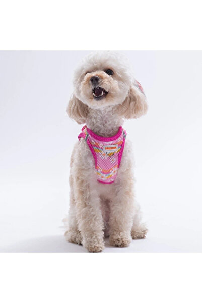 Pawstar Dog Harness