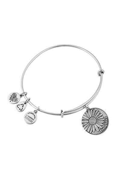 Alex and Ani Bratara Metal A12EB46RS