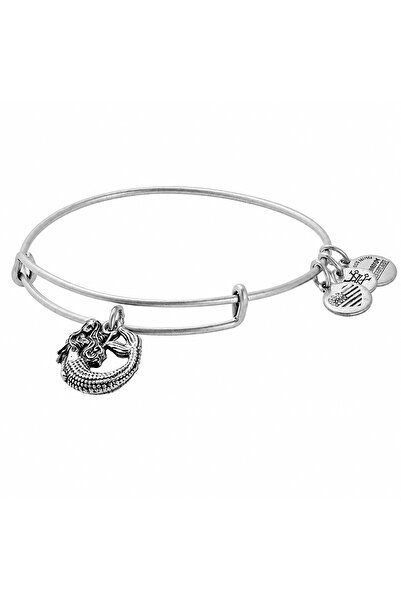 Alex and Ani Bratara Metal A17EB74RS
