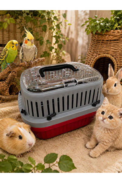 MEDUSA Kuş, hamster, ginepig, tavşan, yavru kedi ve köpek taşıma kutusu