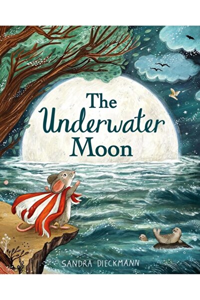 Hodder Children's Books Underwater Moon