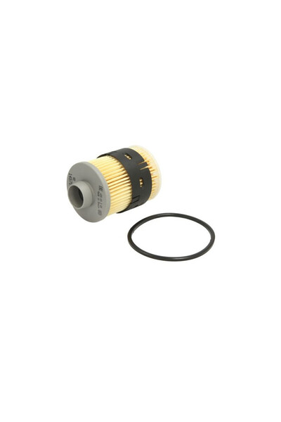 Bosch Filtru de combstibil 1 457 070 001