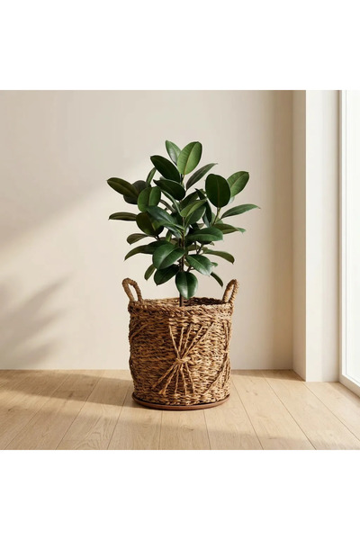 ELZEY HOME Wicker Mesh Flower Pot & Basket with Handles m 25X22 cm