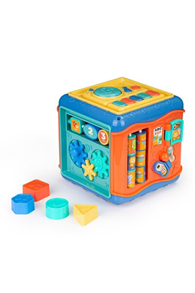 MultiStore Labirintul educativ de sortare pentru cuburi a produs sunete.