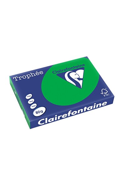 Clairefontaine Hârtie A3 80 g/m² Culoare intensă 500 coli/reamă Verde biliard