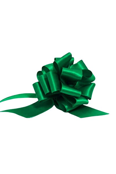BRIZZOLARI Green self-forming satin bow