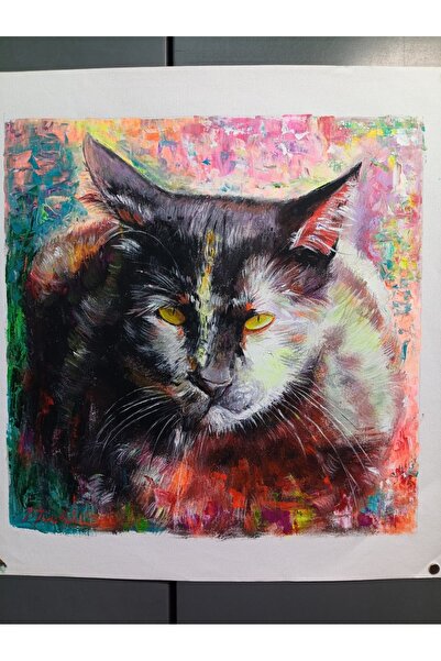 Yarım Gölge Orijinal El Yapımı Gerçek Yağlıboya Kedi Tablo 40x40 cm