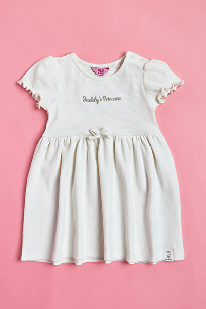 R&B Embroidered Dress with Crew Neck and Short Sleeves