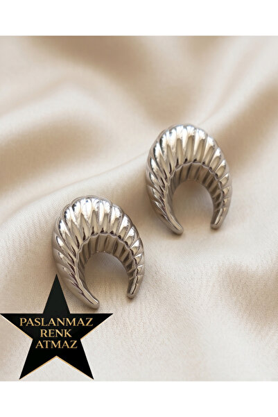 stainless steell 316L Steel Silver Croissant Women's Earrings