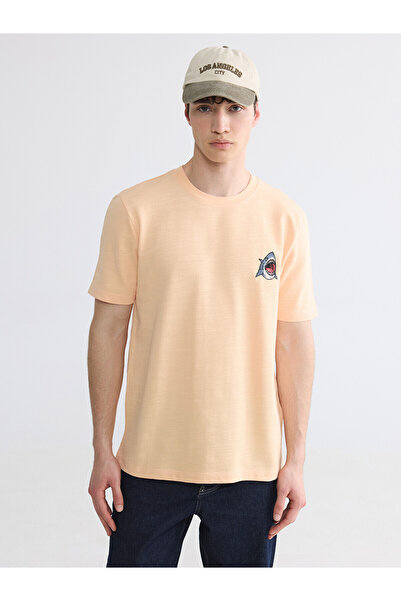 LC Waikiki Vizyon New Season Crew Neck Embroidered Men's T-Shirt