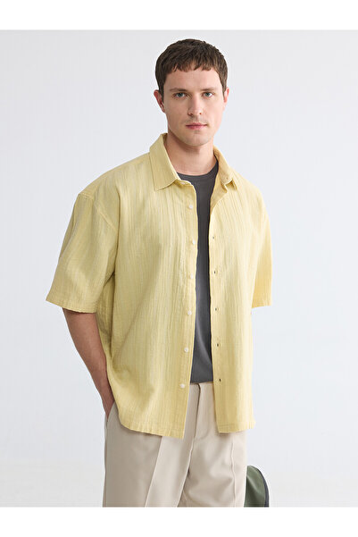 LC Waikiki Vizyon New Season Standard Fit Striped Men's Shirt