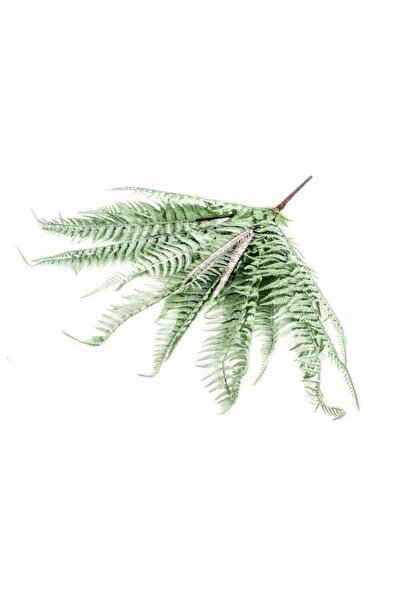 OEM Flori Artificiale Buchet Feriga Prafuita Verde